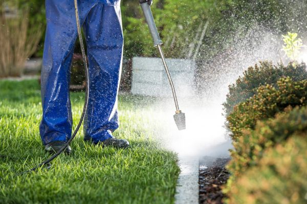 Curb Cleaning in Winchester