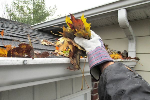 Eaves Cleaning in Winchester